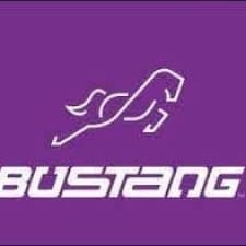 Bustang logo featuring a leaping horse design.
